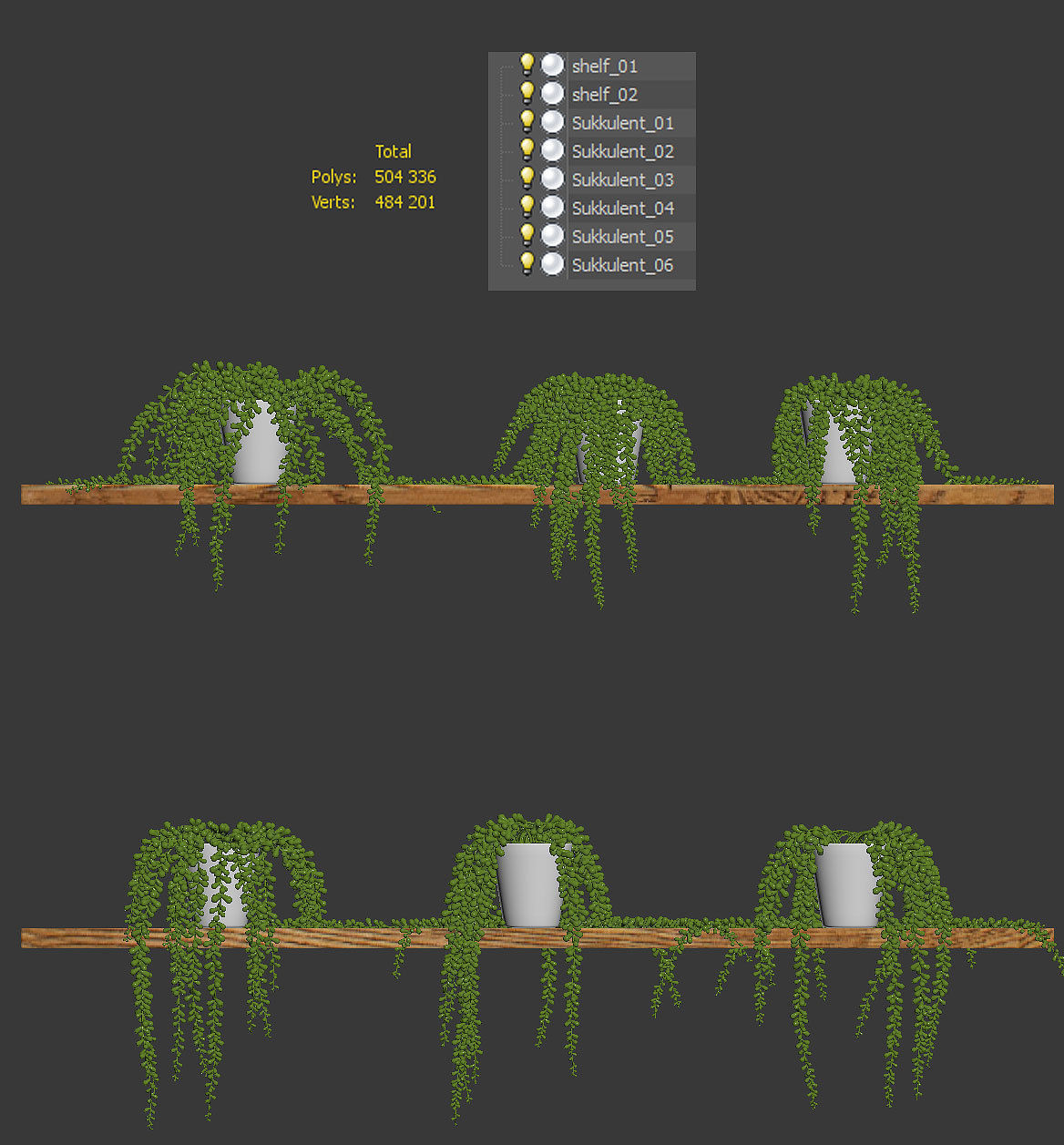 Hanging succulents in pots on shelves 3D model_7