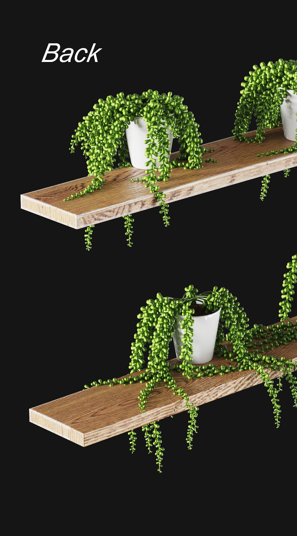 Hanging succulents in pots on shelves 3D model_4