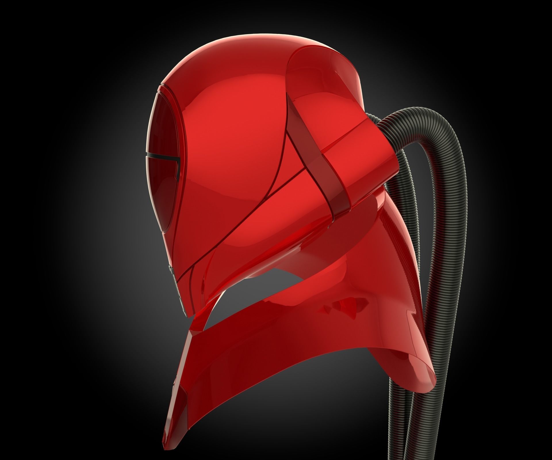 Royal Pilot 3D print model_1