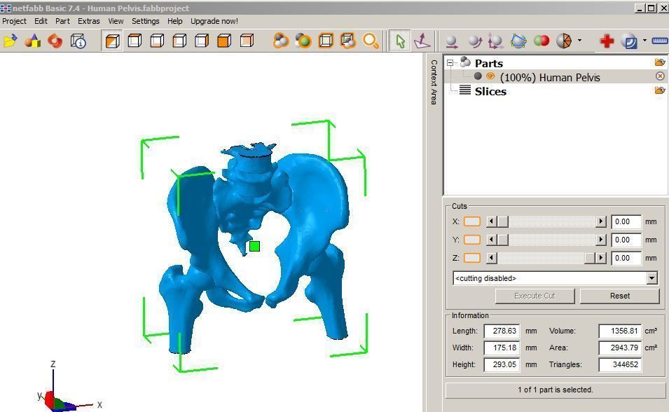 Human Pelvis 3D print model_6