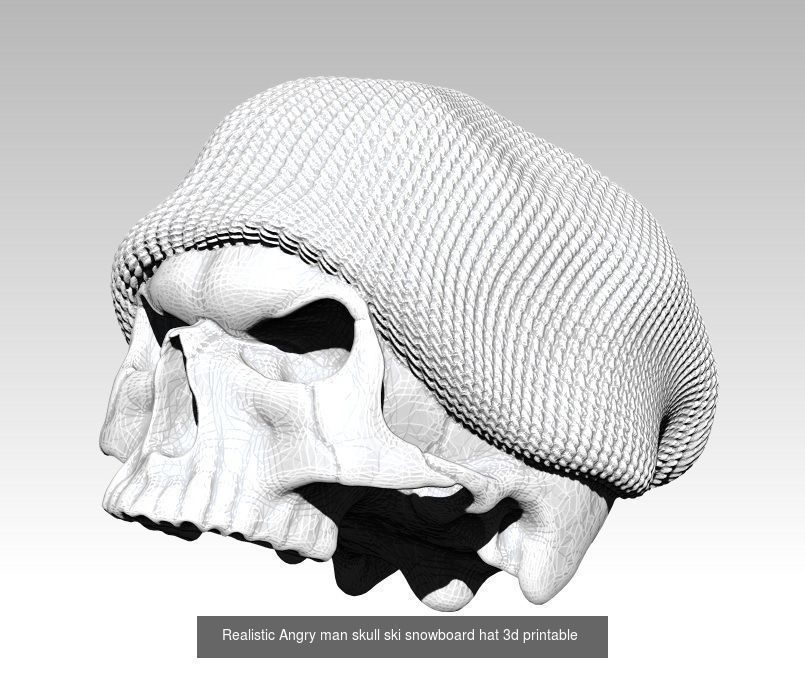 Lot of 6 detailed Skulls  Collection Realistic _2