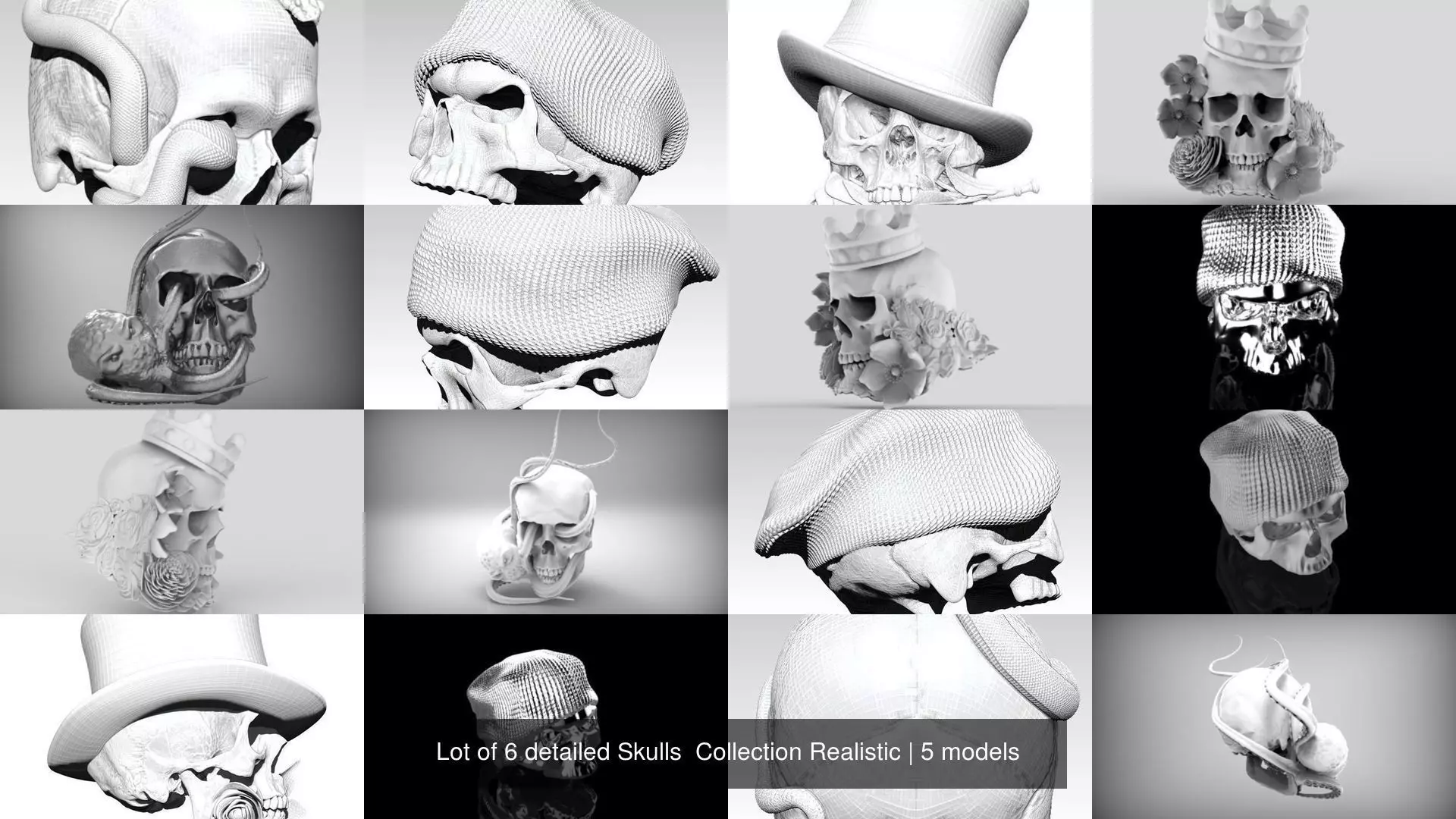 Lot of 6 detailed Skulls  Collection Realistic _0