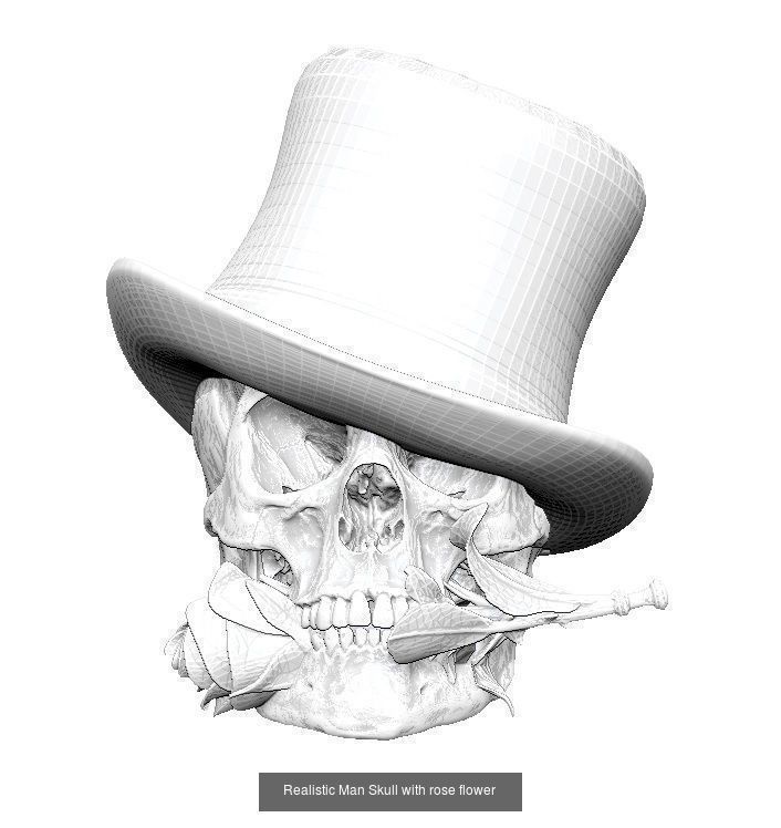 Lot of 6 detailed Skulls  Collection Realistic _3