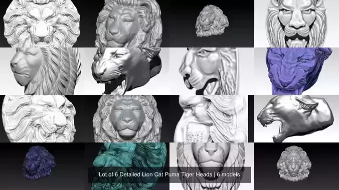 Lot of 6 Detailed Lion Cat Puma Tiger Heads 3D Model Collection