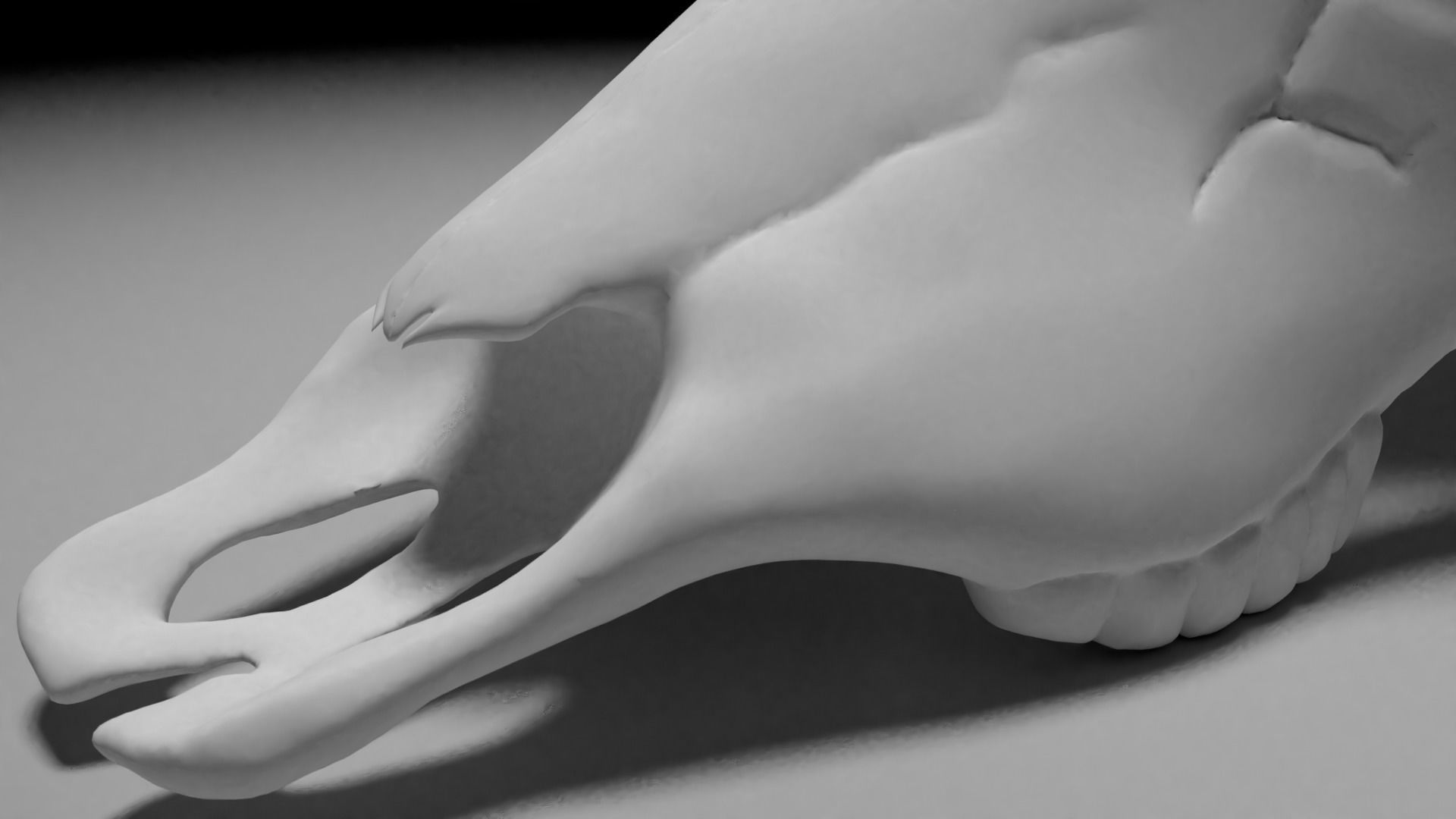 Bull skull 3D print model_5