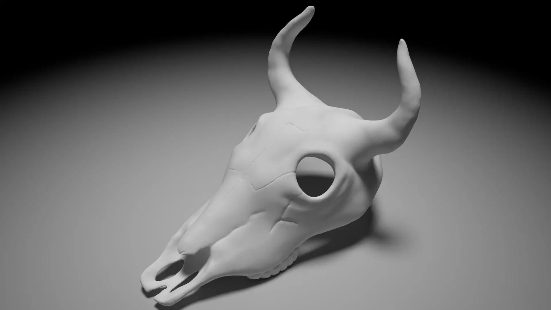 Bull skull 3D print model_0