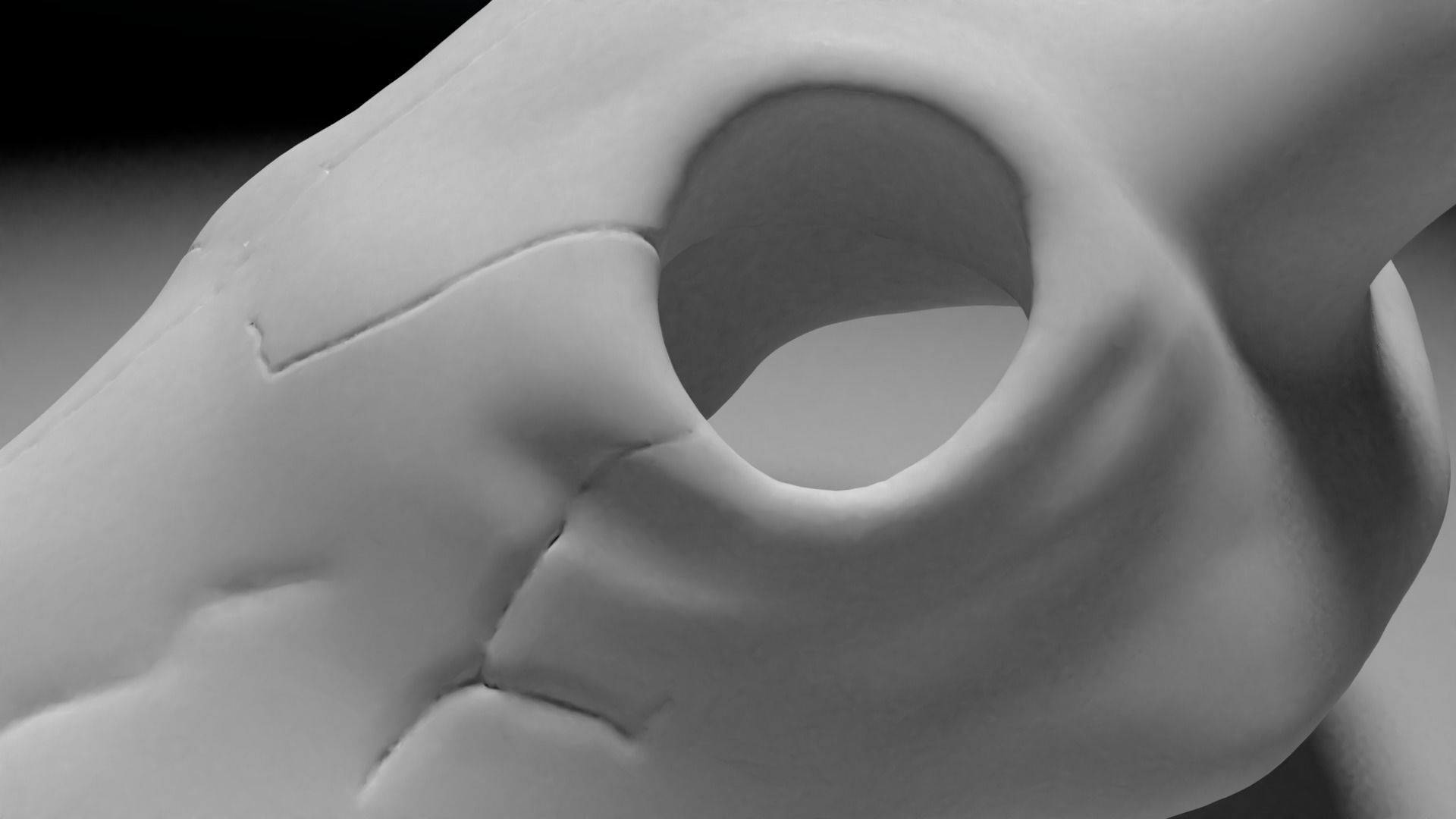 Bull skull 3D print model_6