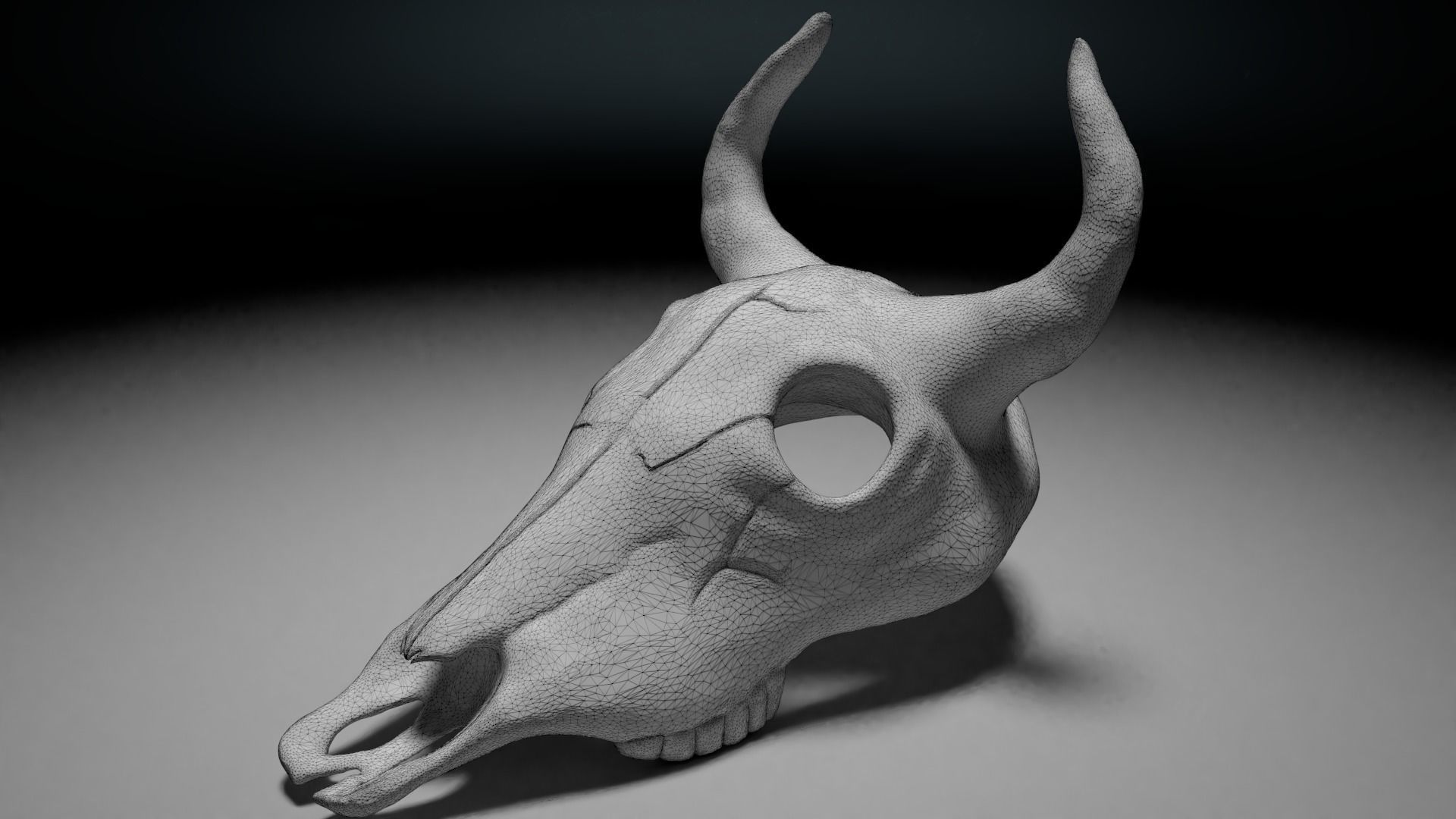 Bull skull 3D print model_4