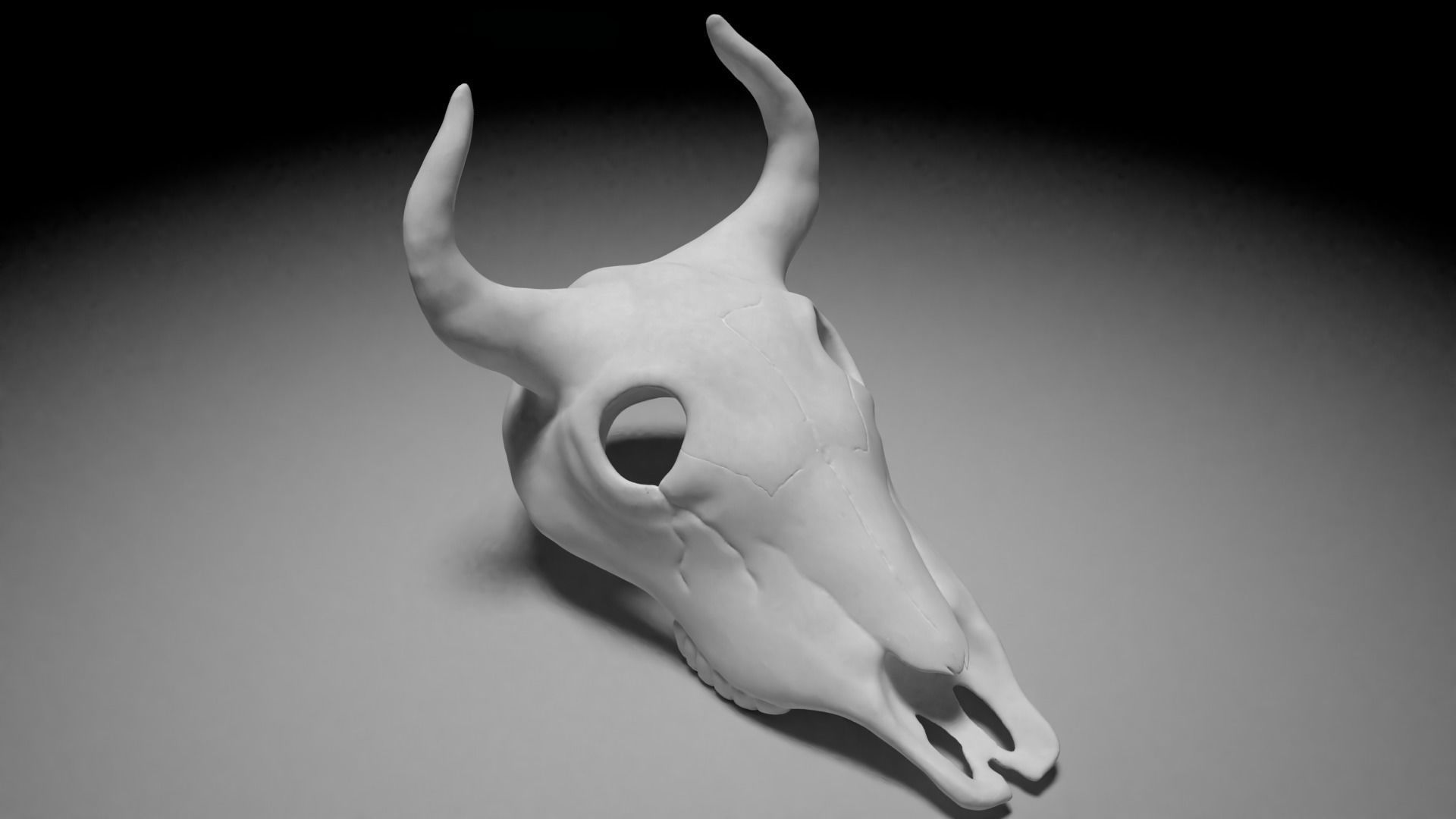 Bull skull 3D print model_2