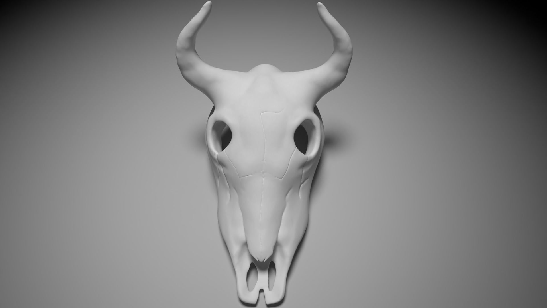 Bull skull 3D print model_1
