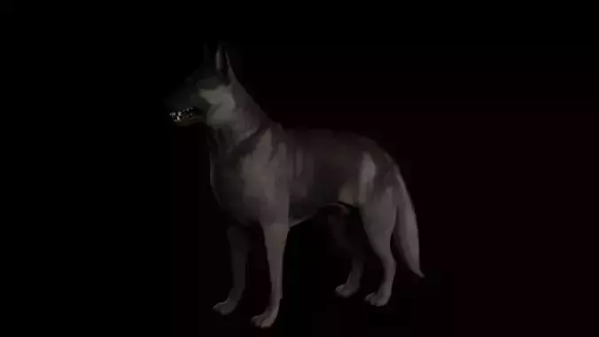 Shepherd dog 3d model