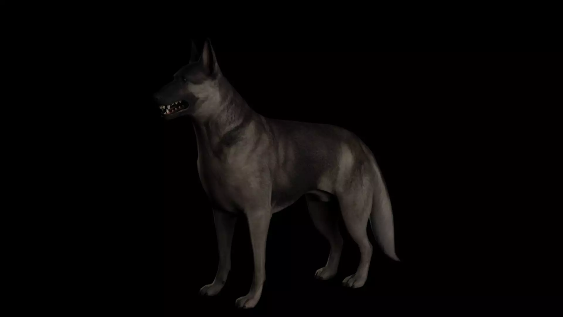 Shepherd dog 3d model 3D model_0