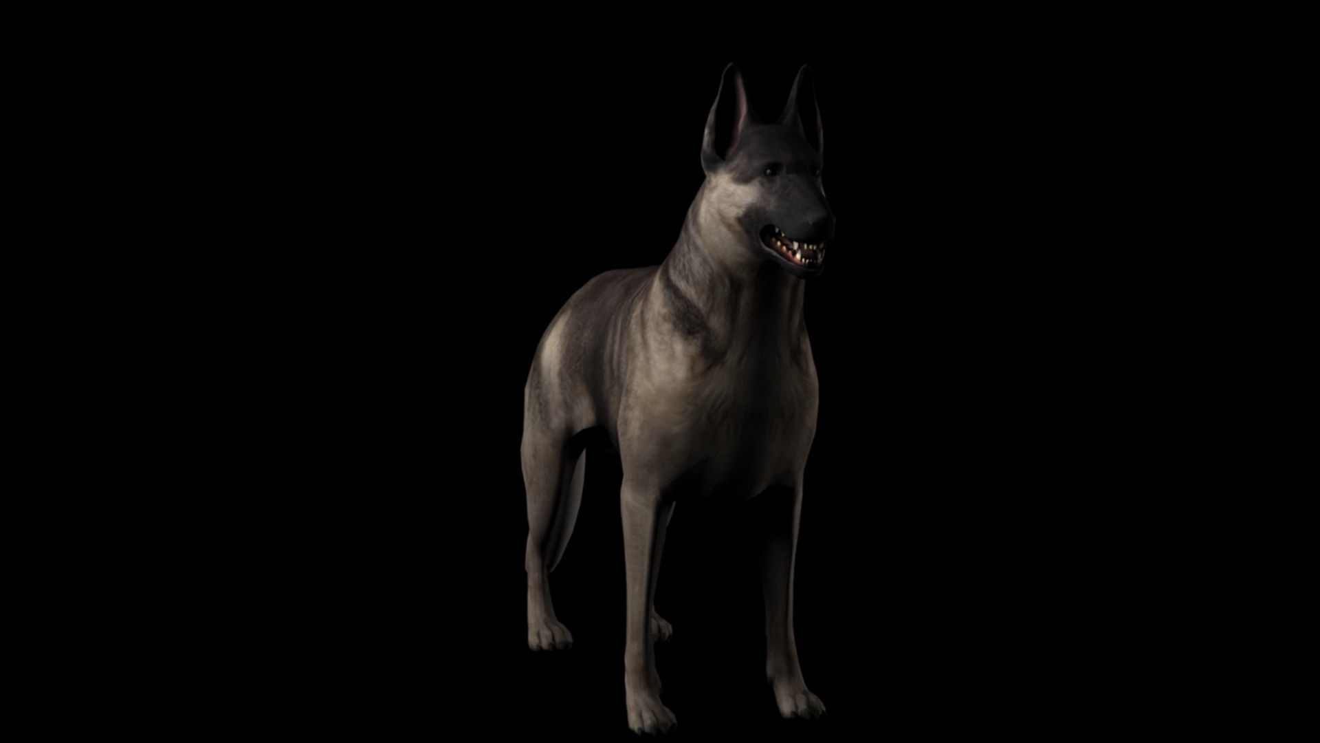 Shepherd dog 3d model 3D model_1