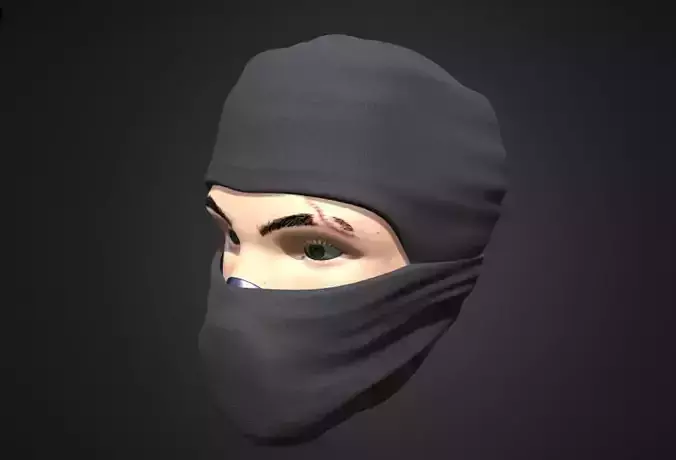 Ninja head 3D model 3D model