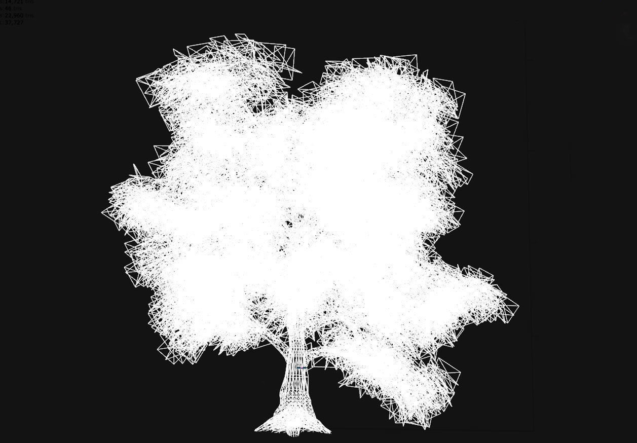 Old Oak for unity Low-poly 3D model_4