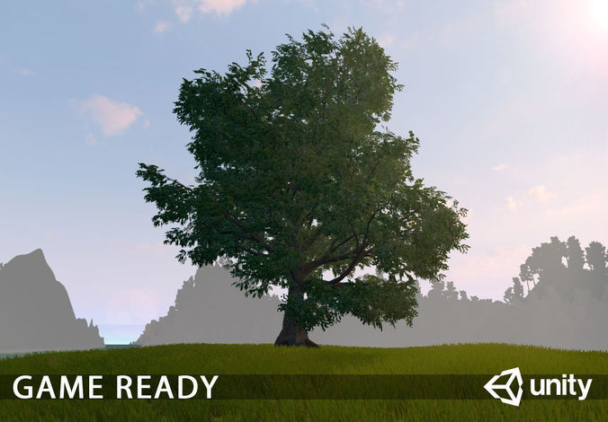 Old Oak for unity Low-poly 3D model