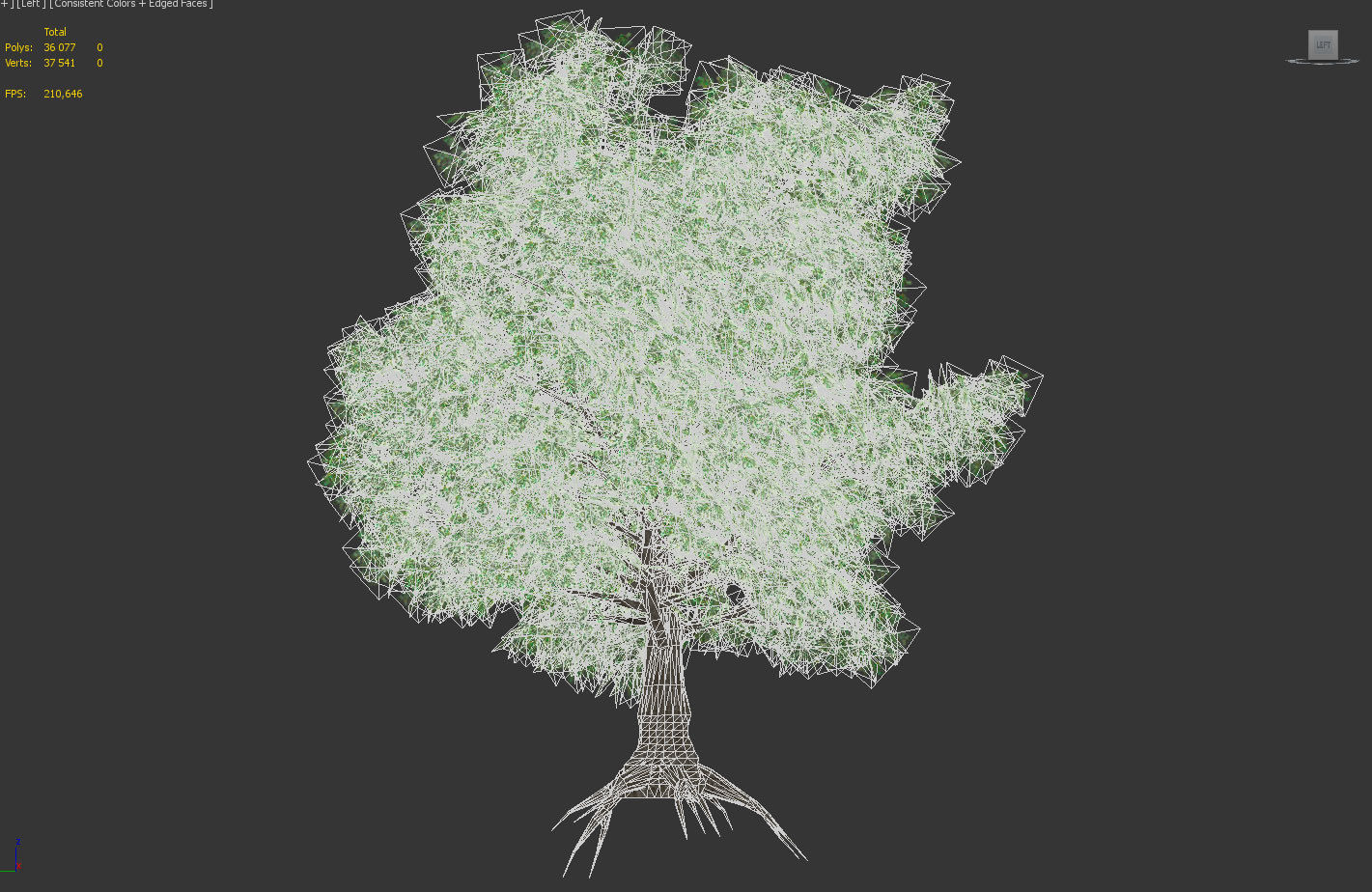 Old Oak for unity Low-poly 3D model_9