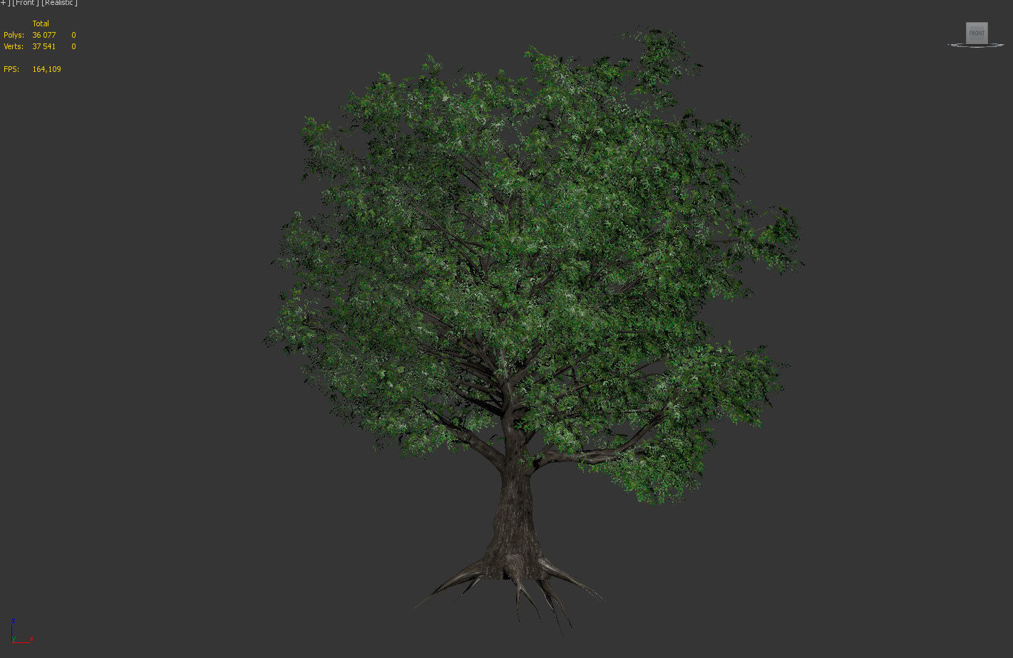 Old Oak for unity Low-poly 3D model_7