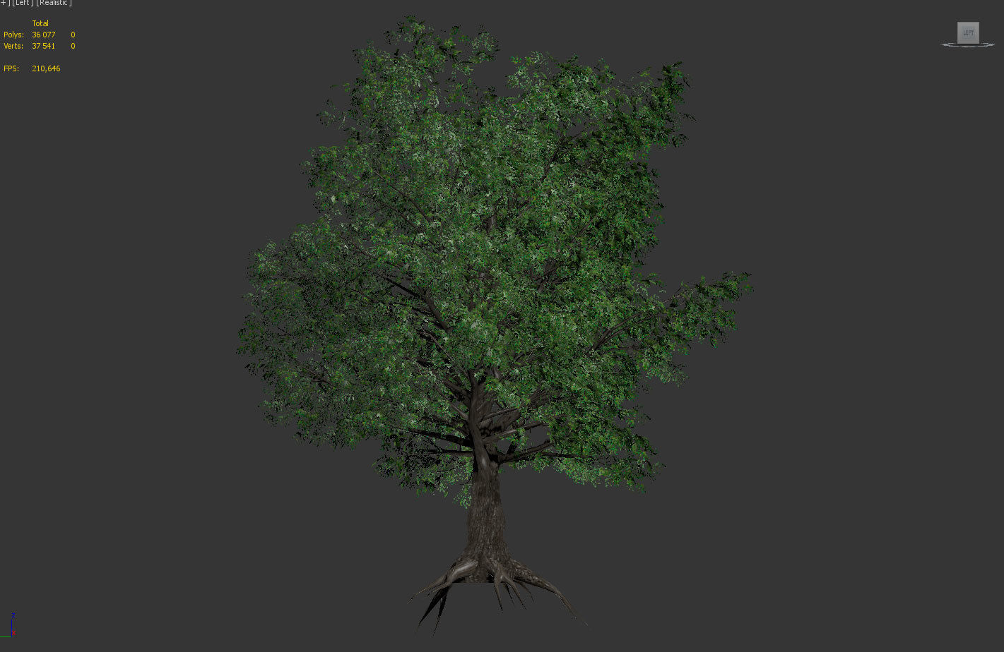 Old Oak for unity Low-poly 3D model_8