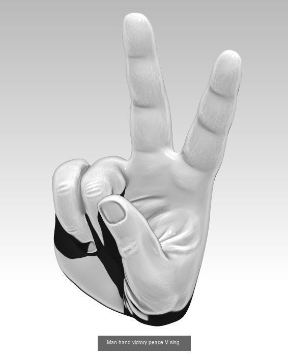 Lot of 3 pcs hand sing  Detailed 3D Model Collection_2