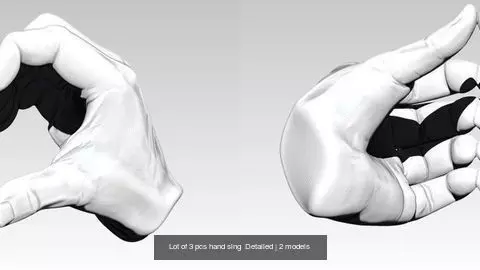 Lot of 3 pcs hand sing  Detailed 3D Model Collection_0
