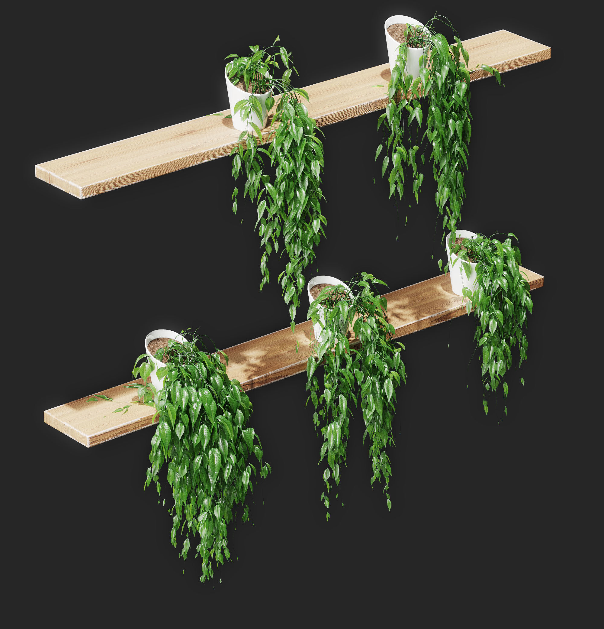 Potted plants on shelves 3D model_1