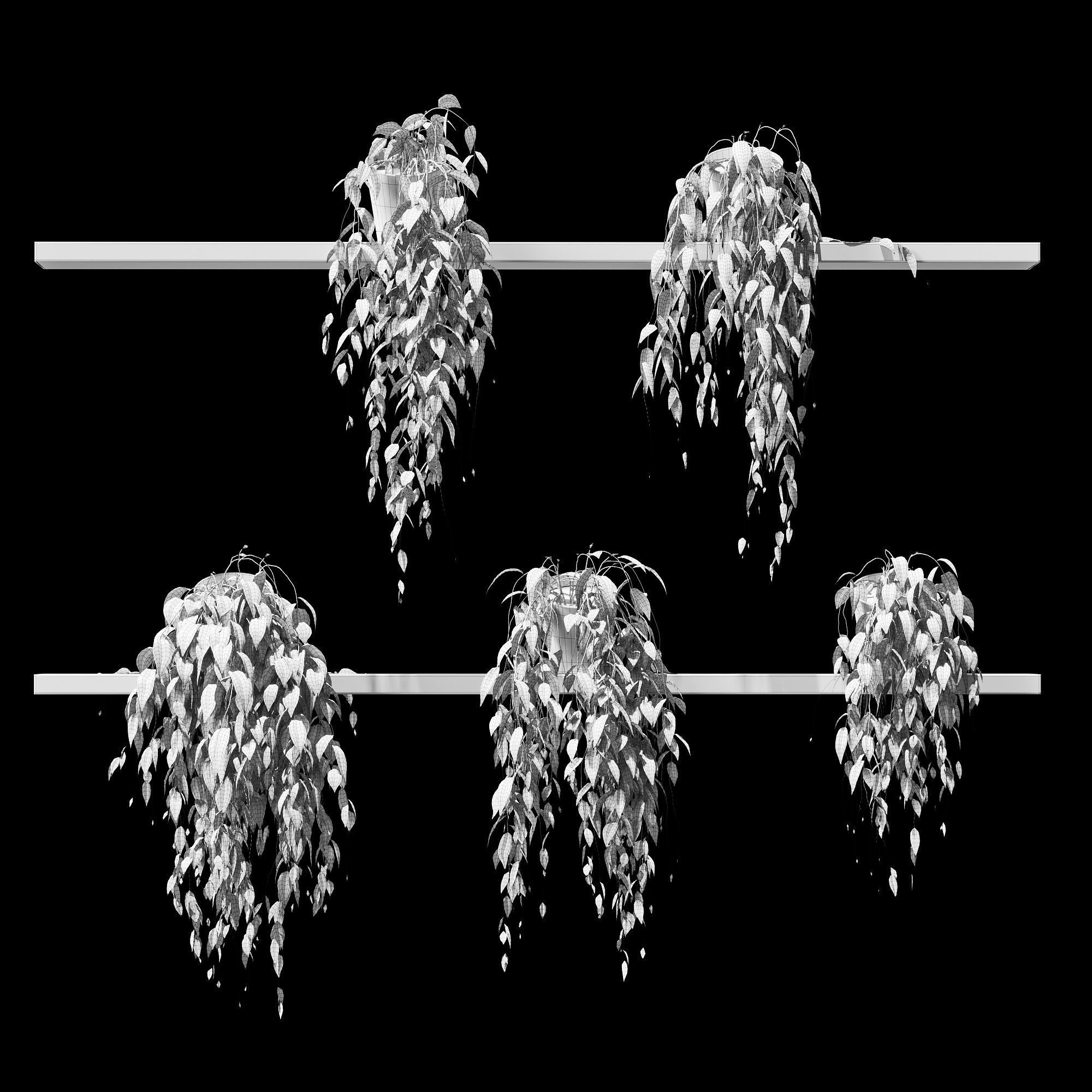 Potted plants on shelves 3D model_4