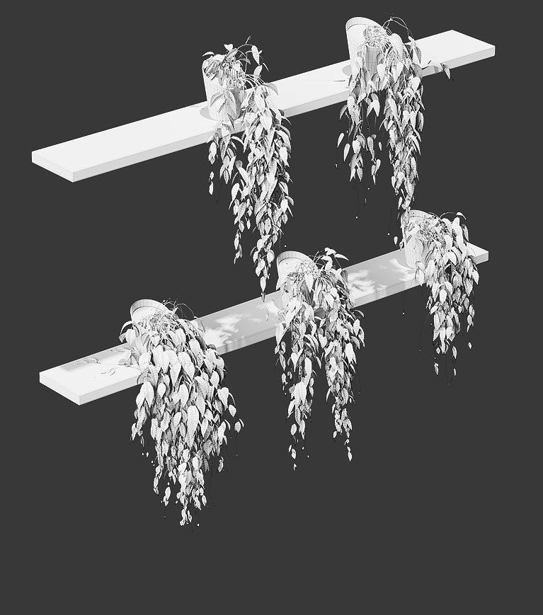 Potted plants on shelves 3D model_2