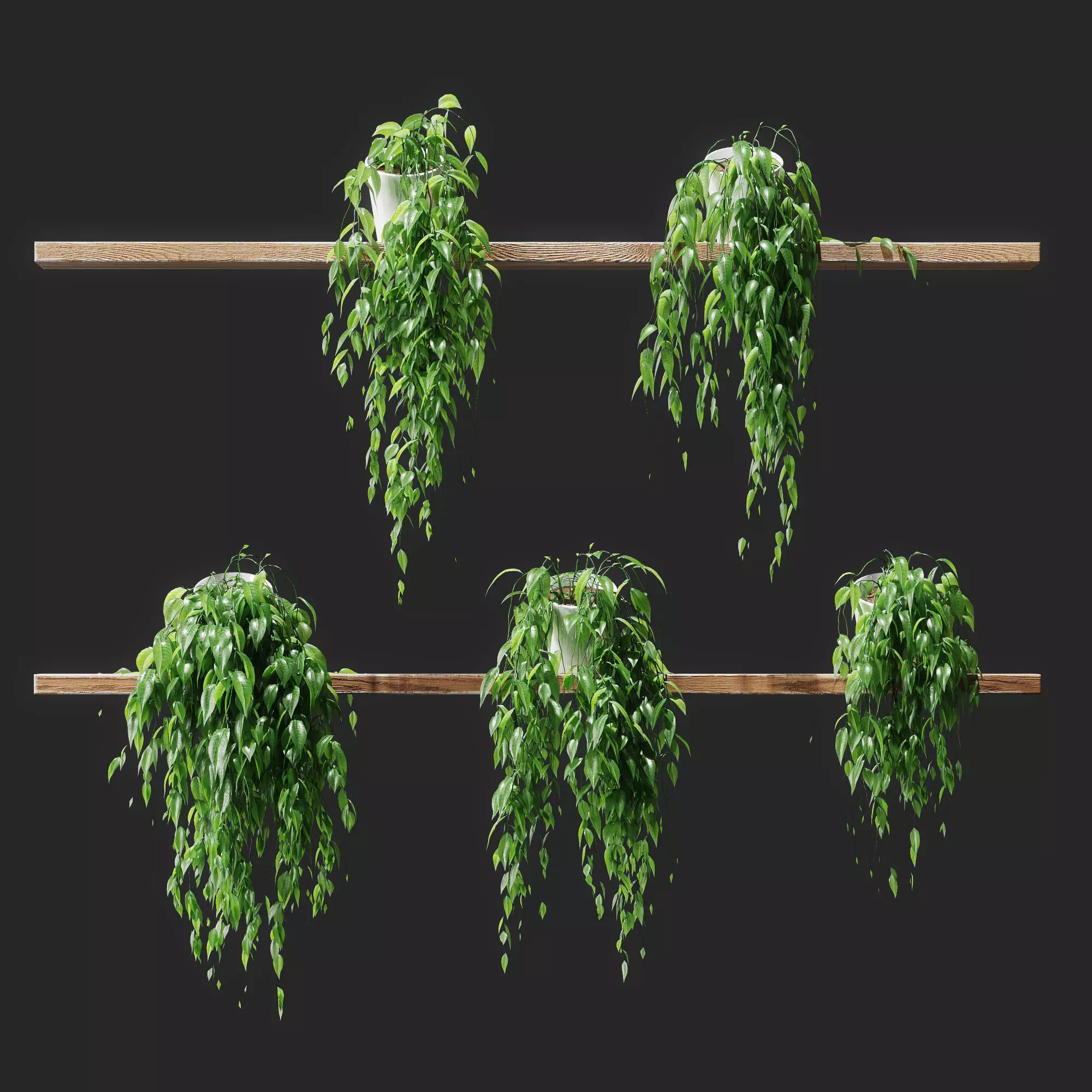 Potted plants on shelves 3D model_0