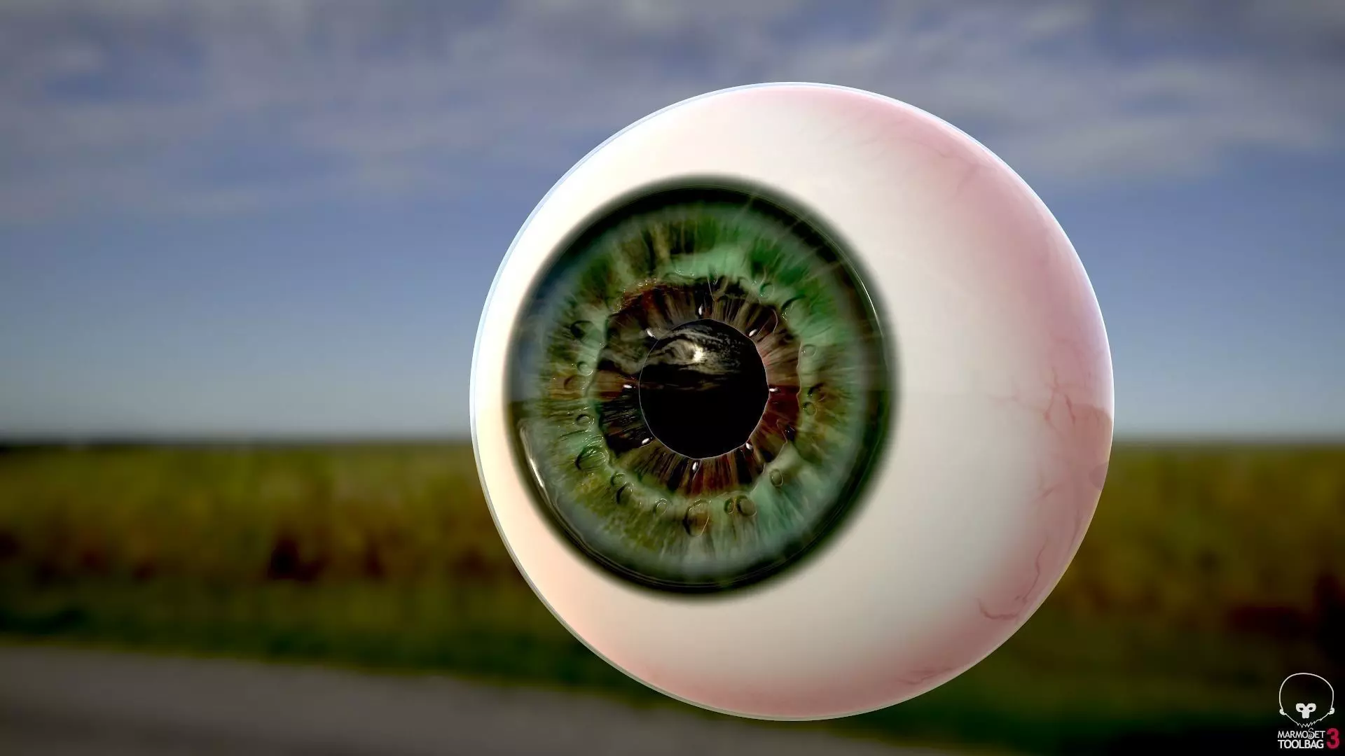 Human eye Photorealistic Game ready 3d model Free low-poly 3D model