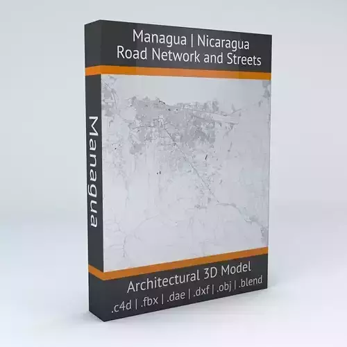 Managua Road Network and Streets 3D model