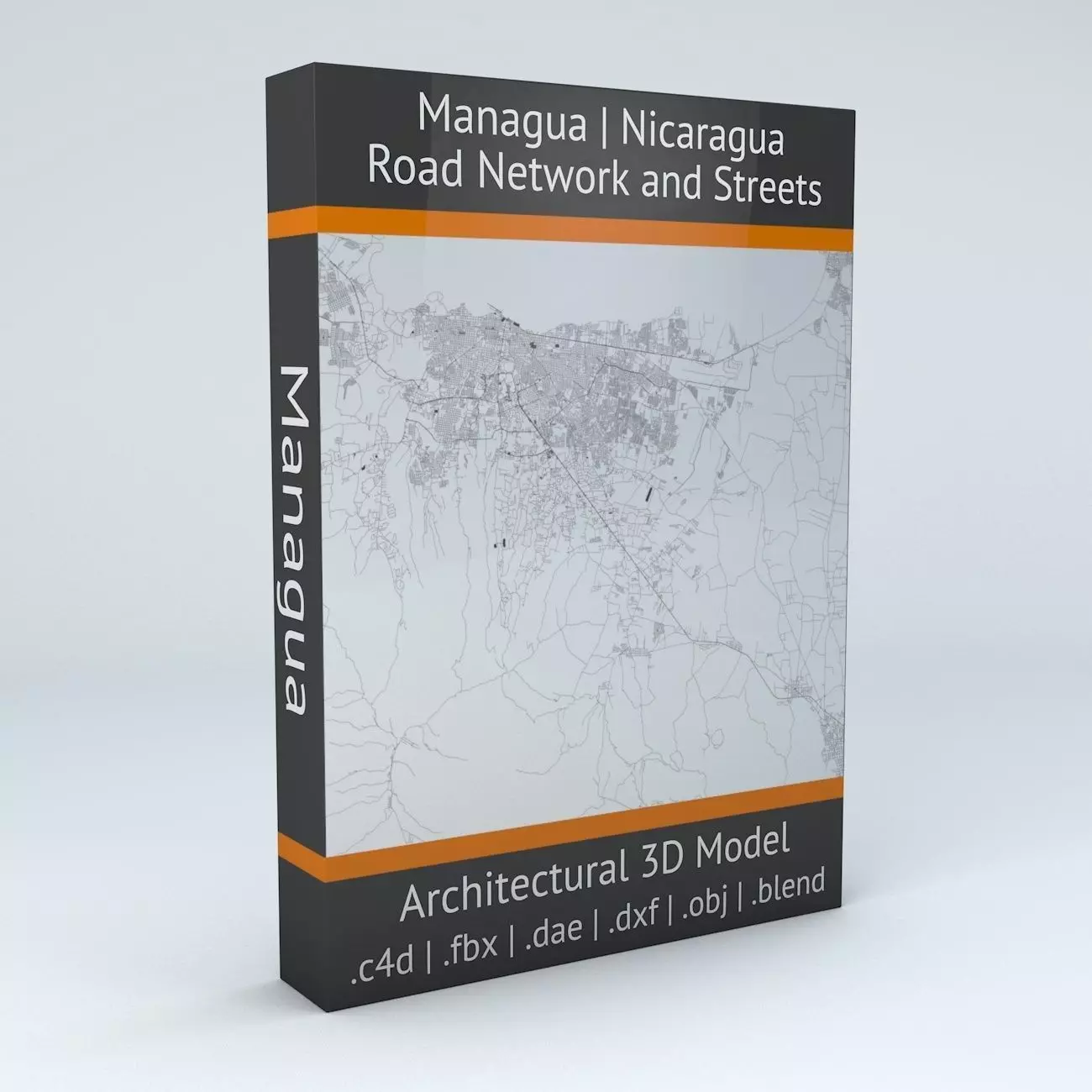 Managua Road Network and Streets 3D model_0