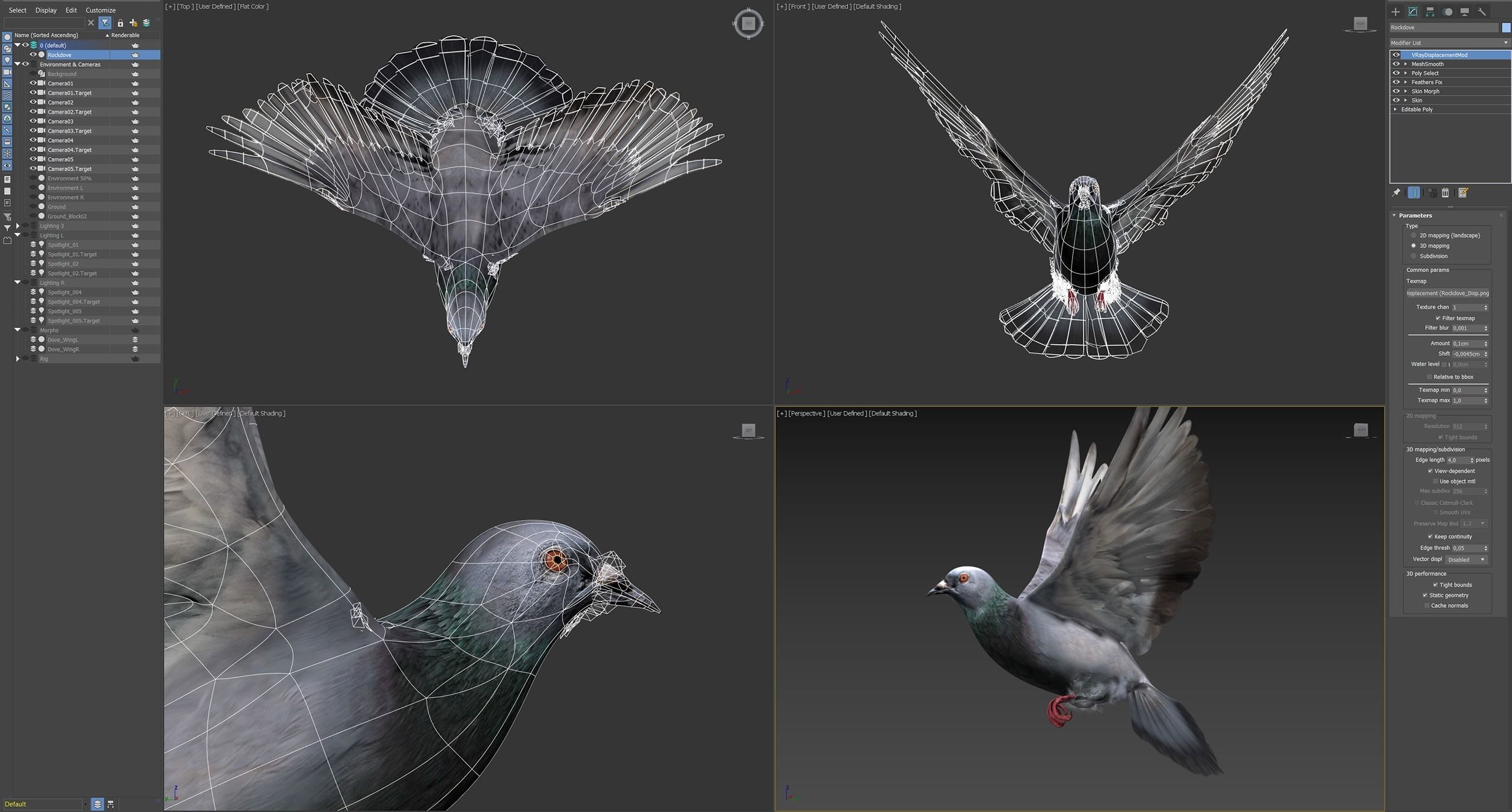 Rock Dove Animated 3D model_5