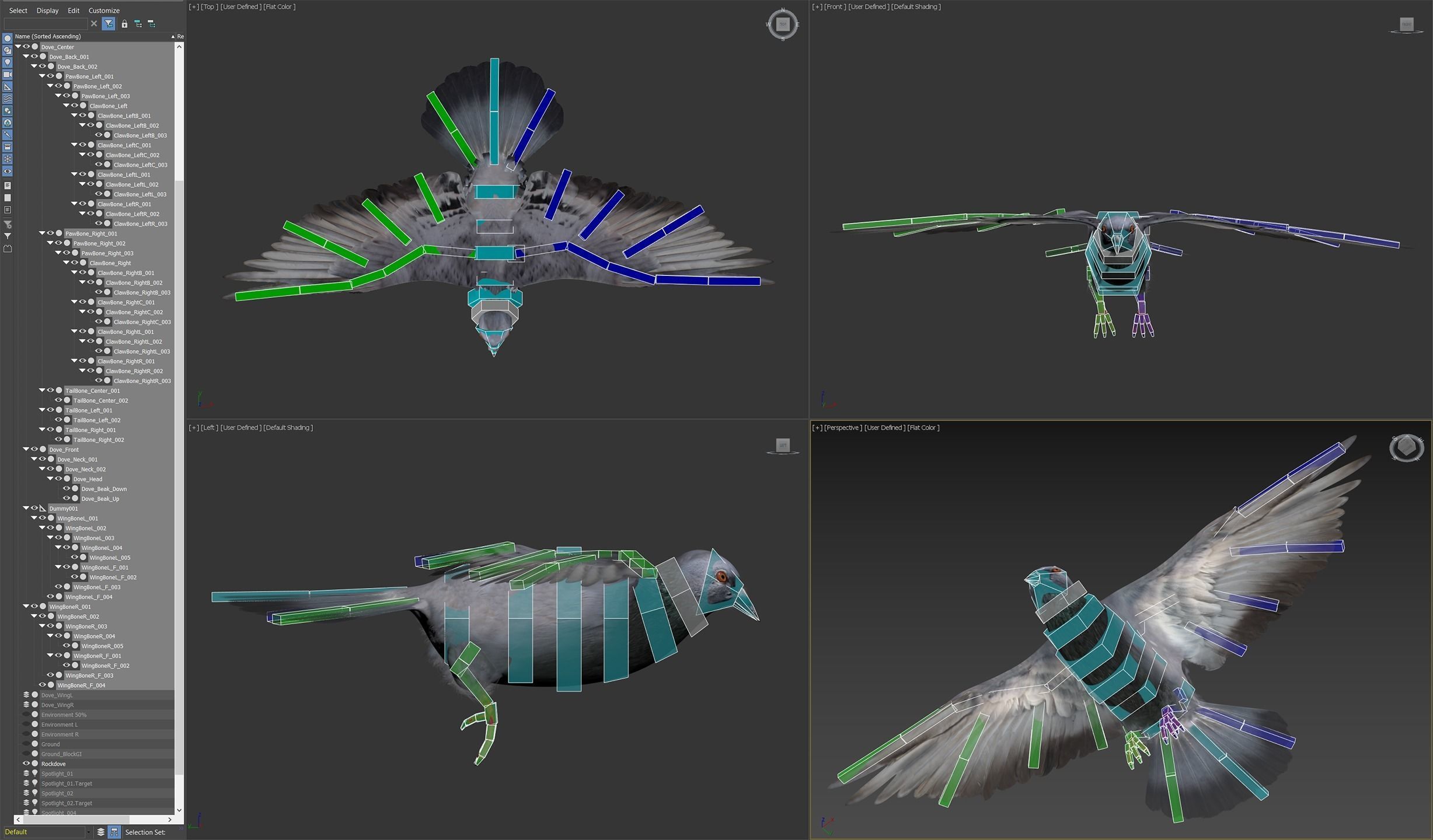 Rock Dove Animated 3D model_7