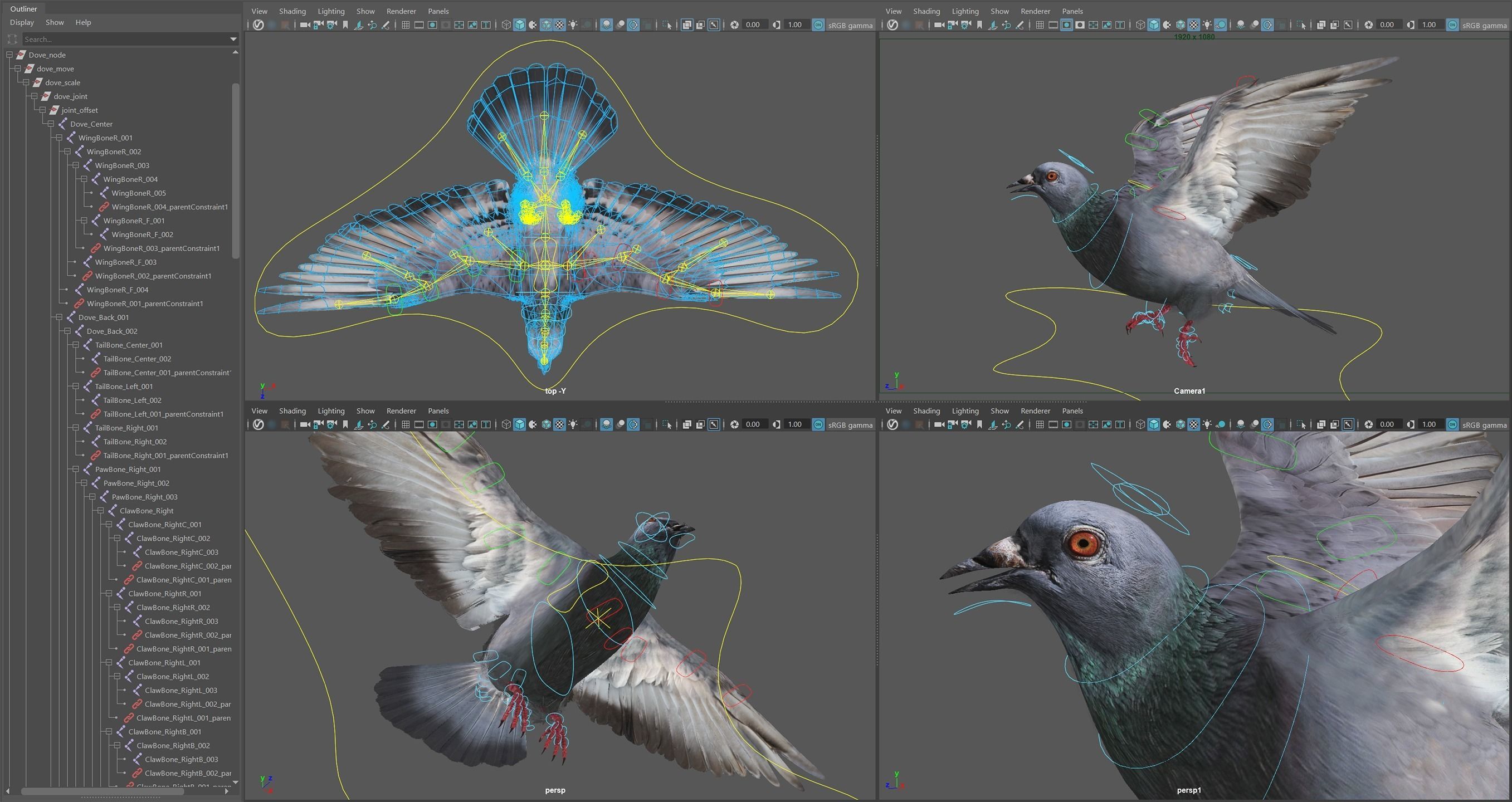 Rock Dove Animated 3D model_8
