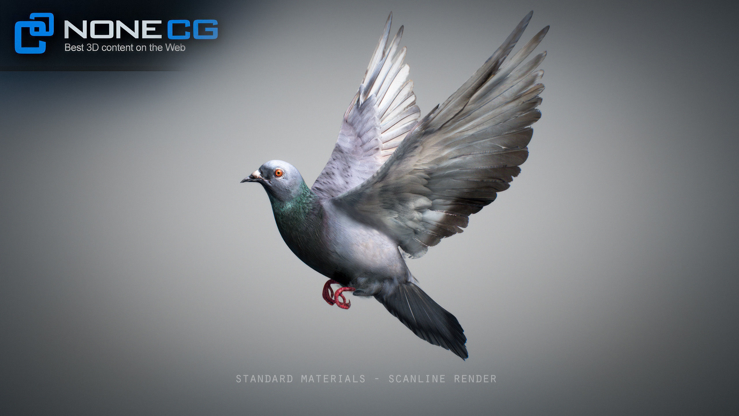 Doves Animated 3D model_53