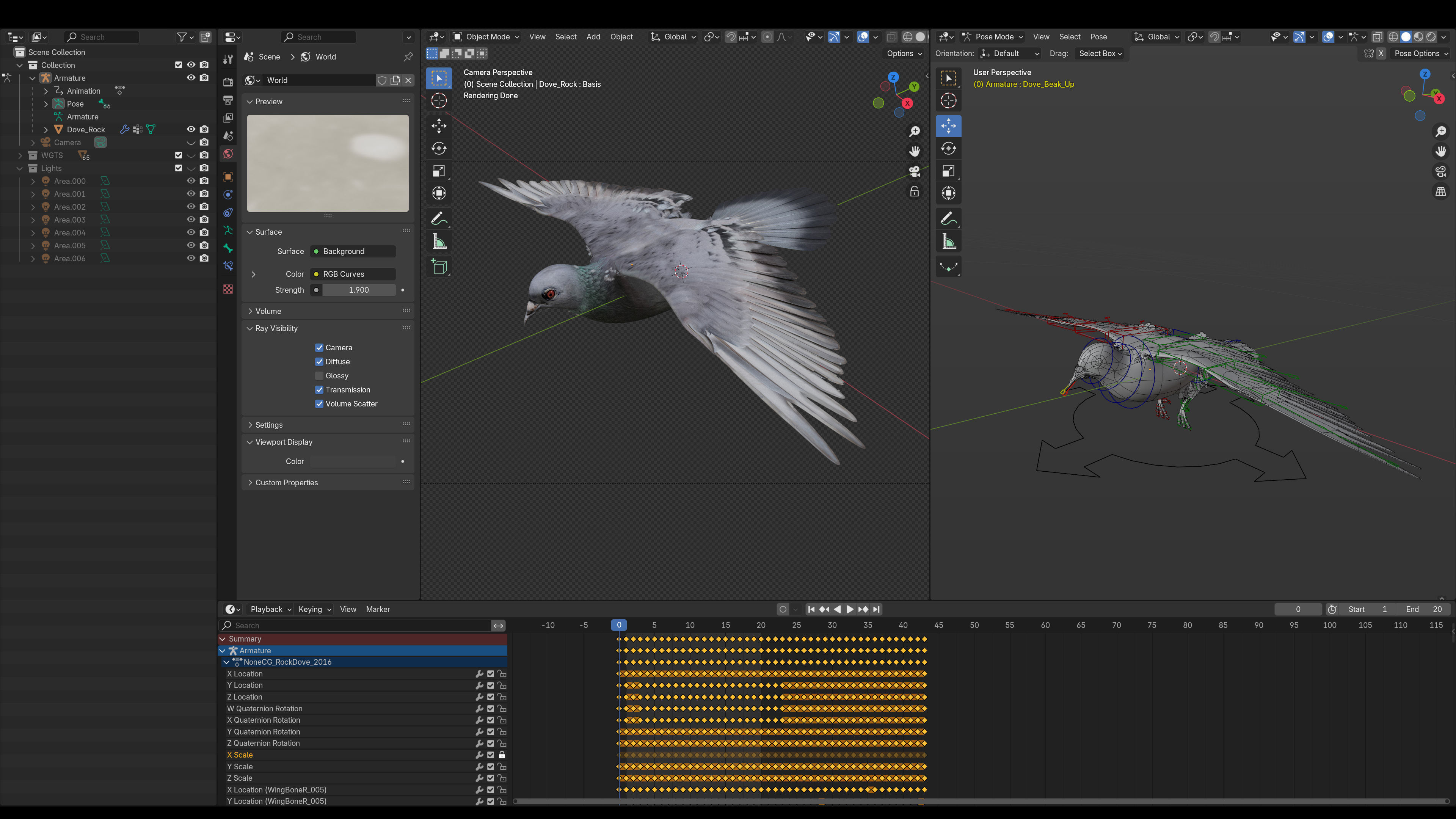Doves Animated 3D model_15