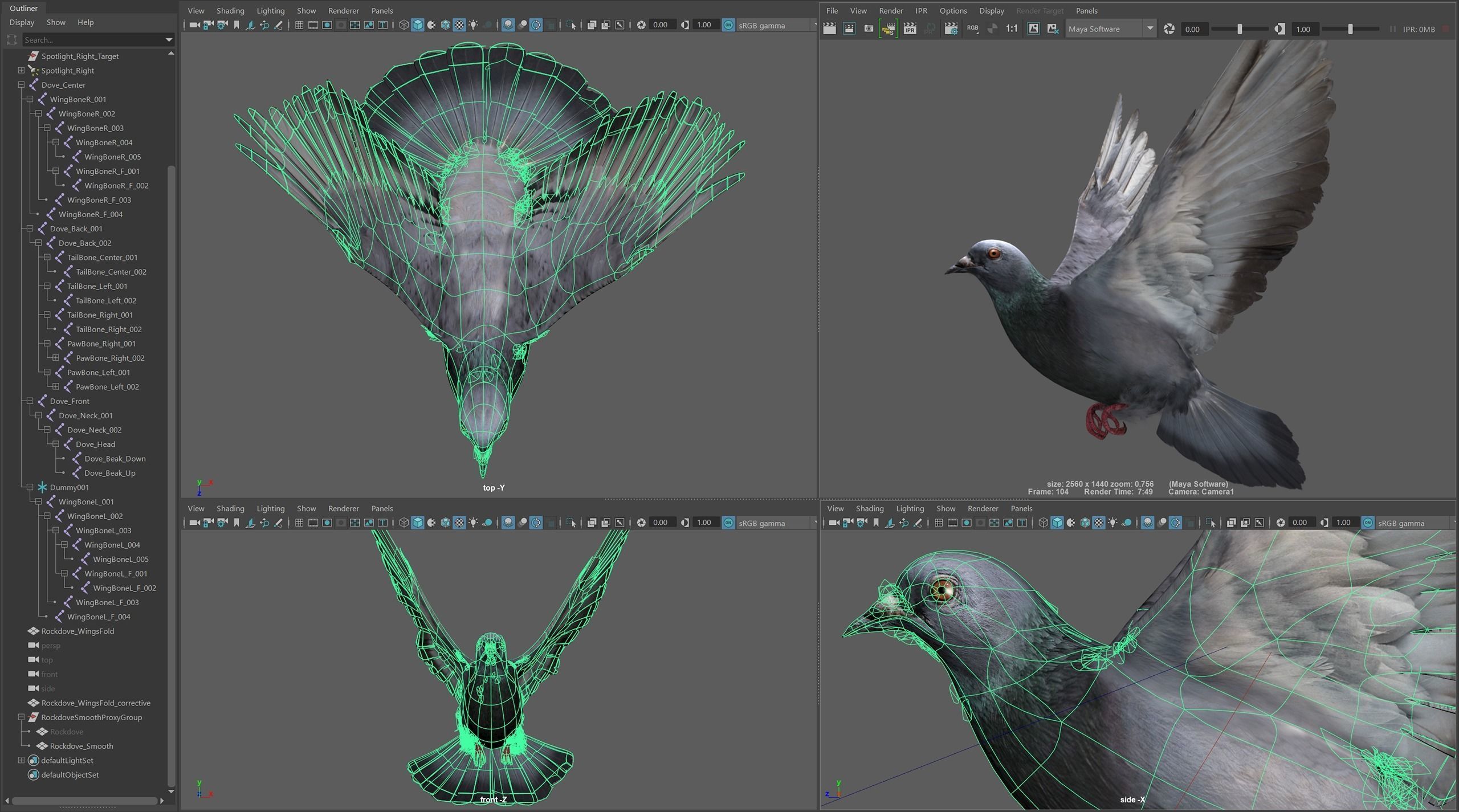 Doves Animated 3D model_20
