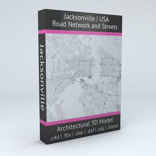 Jacksonville Road Network and Streets 3D model
