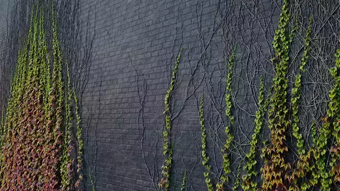 ARCHICG PLANTS IvyWalls vol 1 07