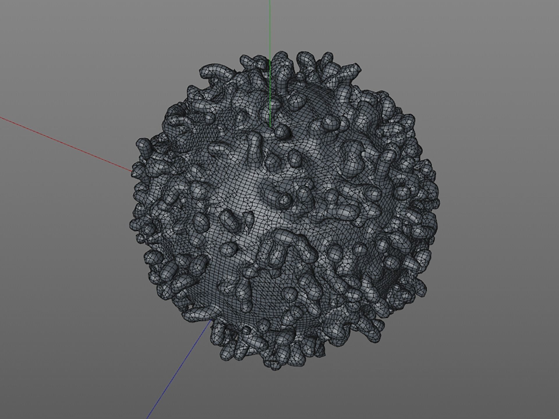 White blood cell 3D model_6