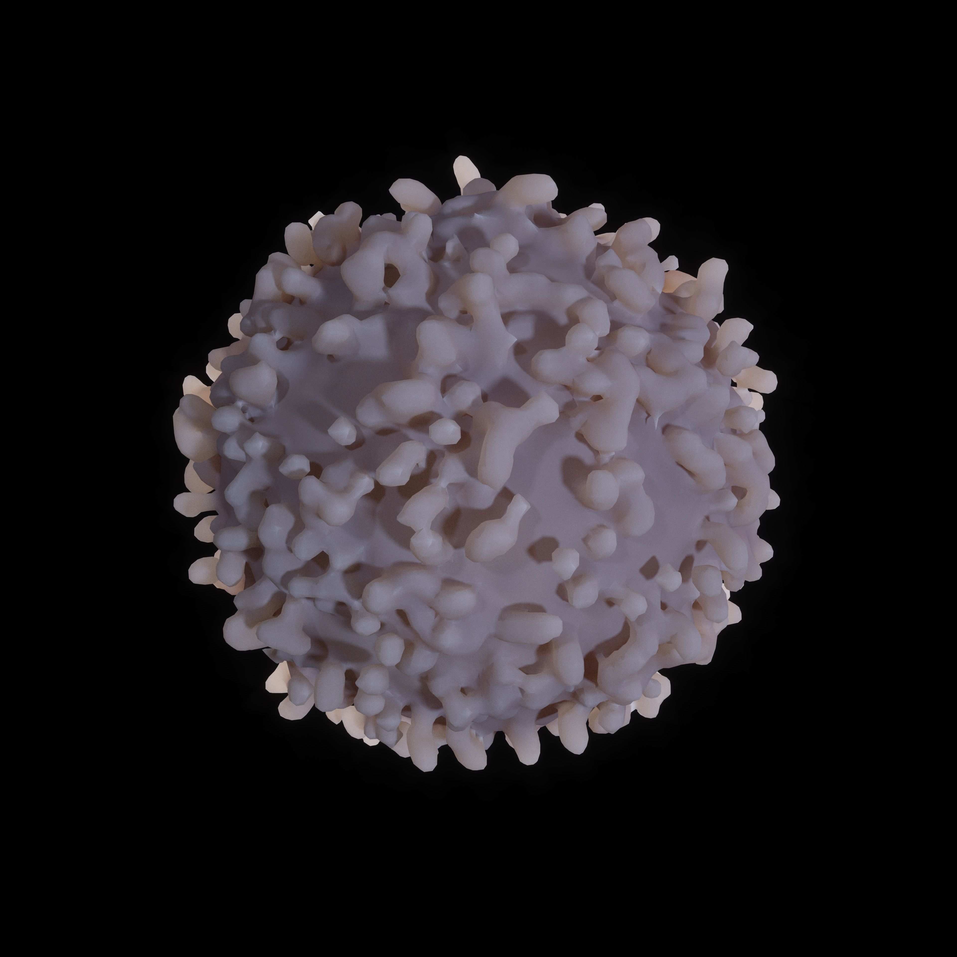 White blood cell 3D model_5
