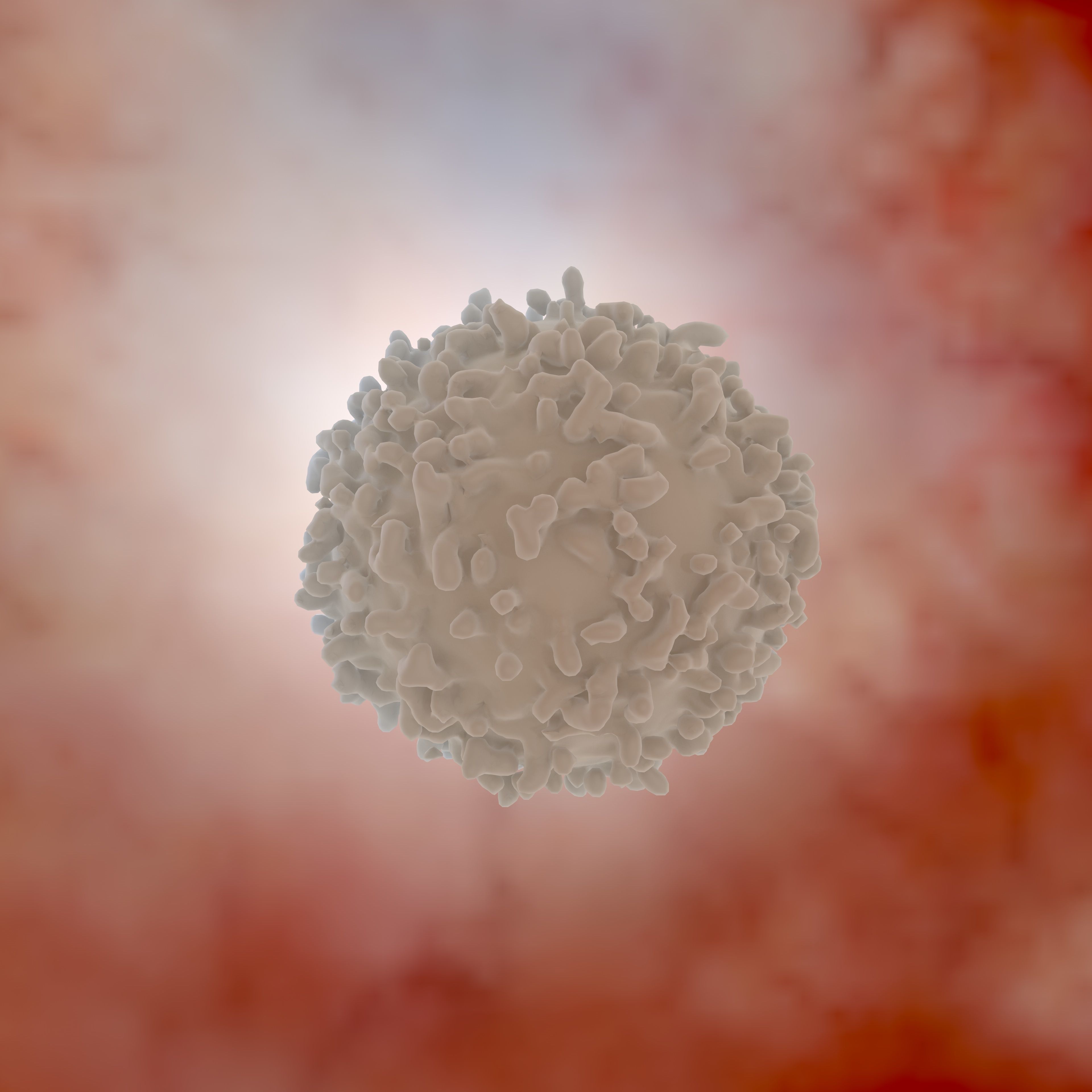 White blood cell 3D model_3