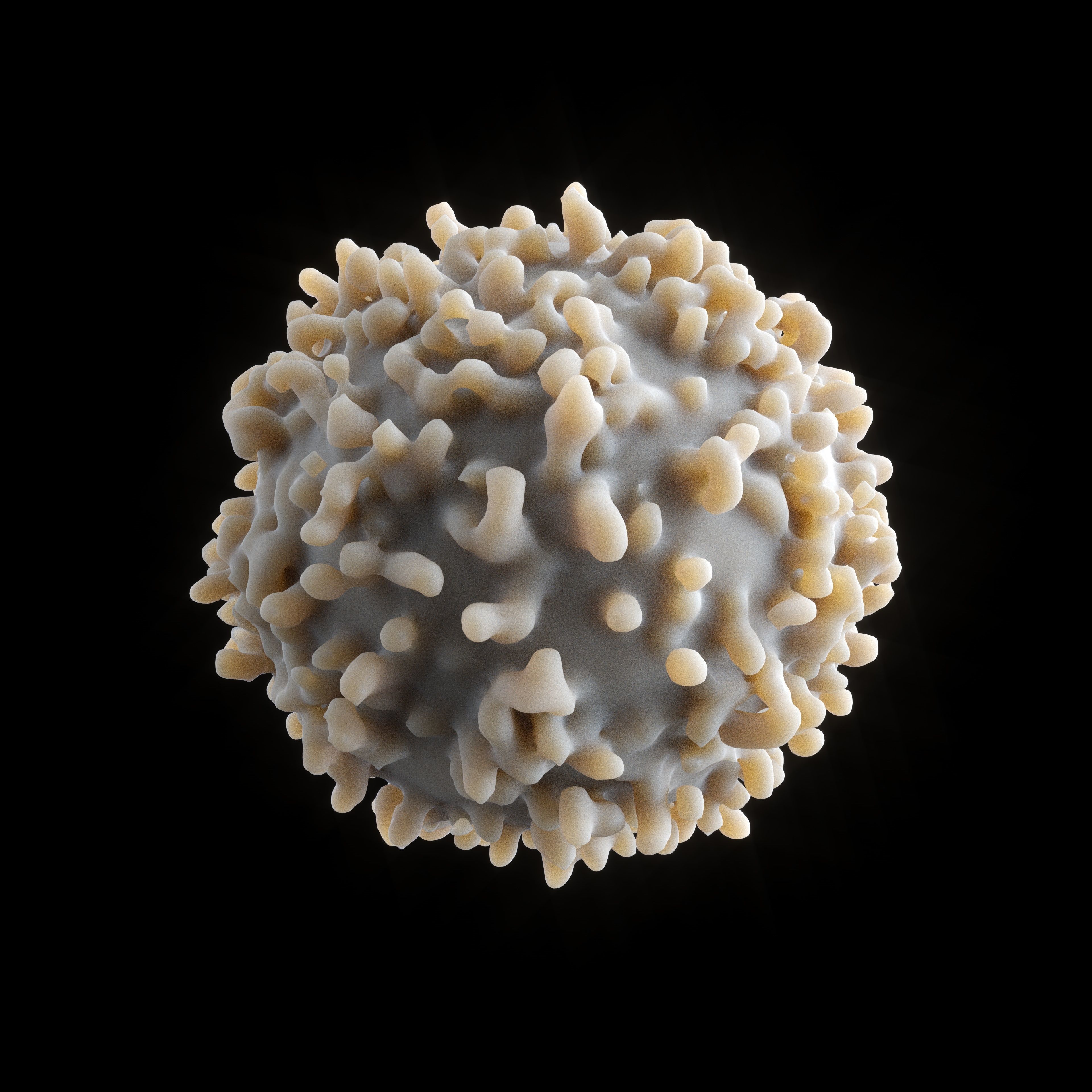 White blood cell 3D model_1