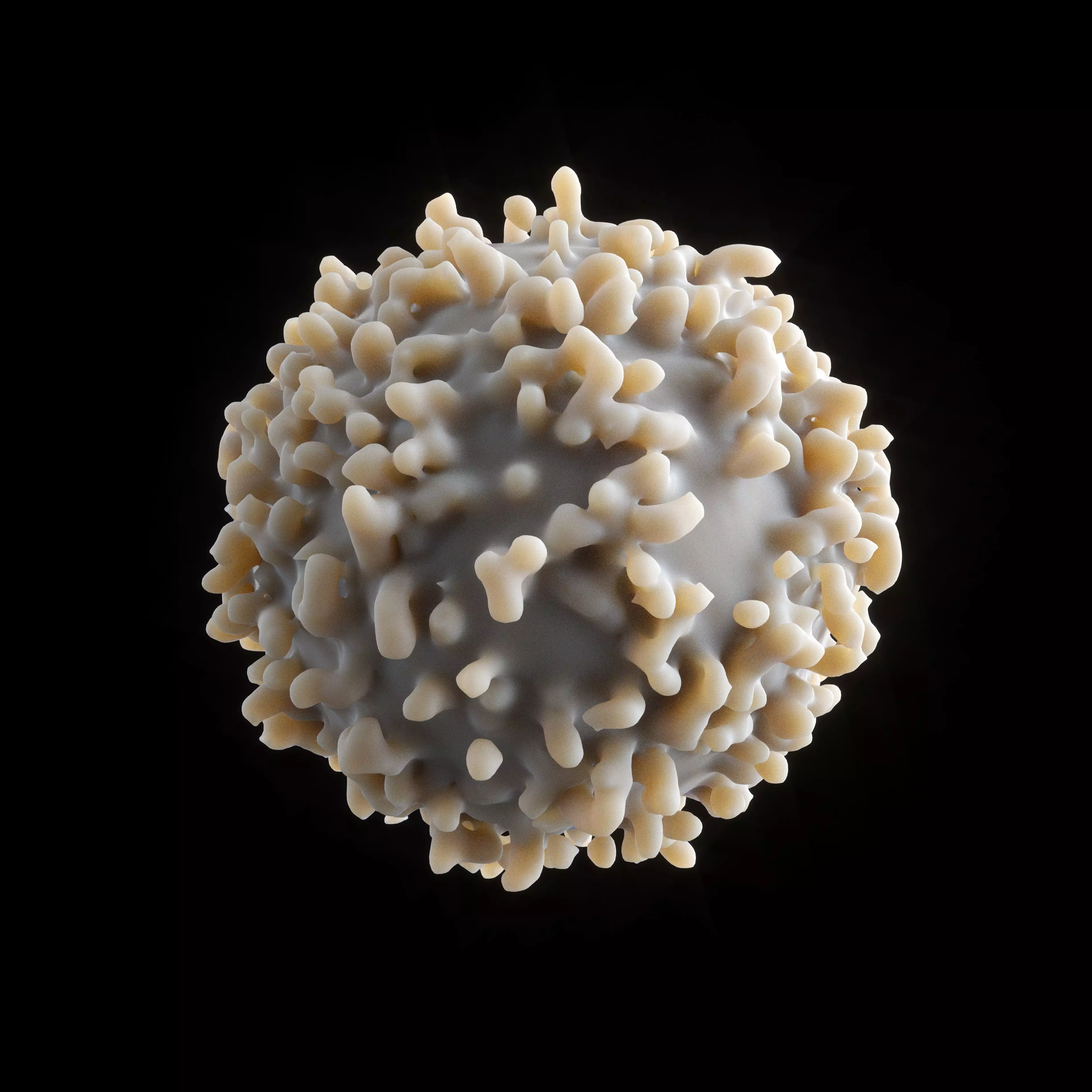 White blood cell 3D model_0