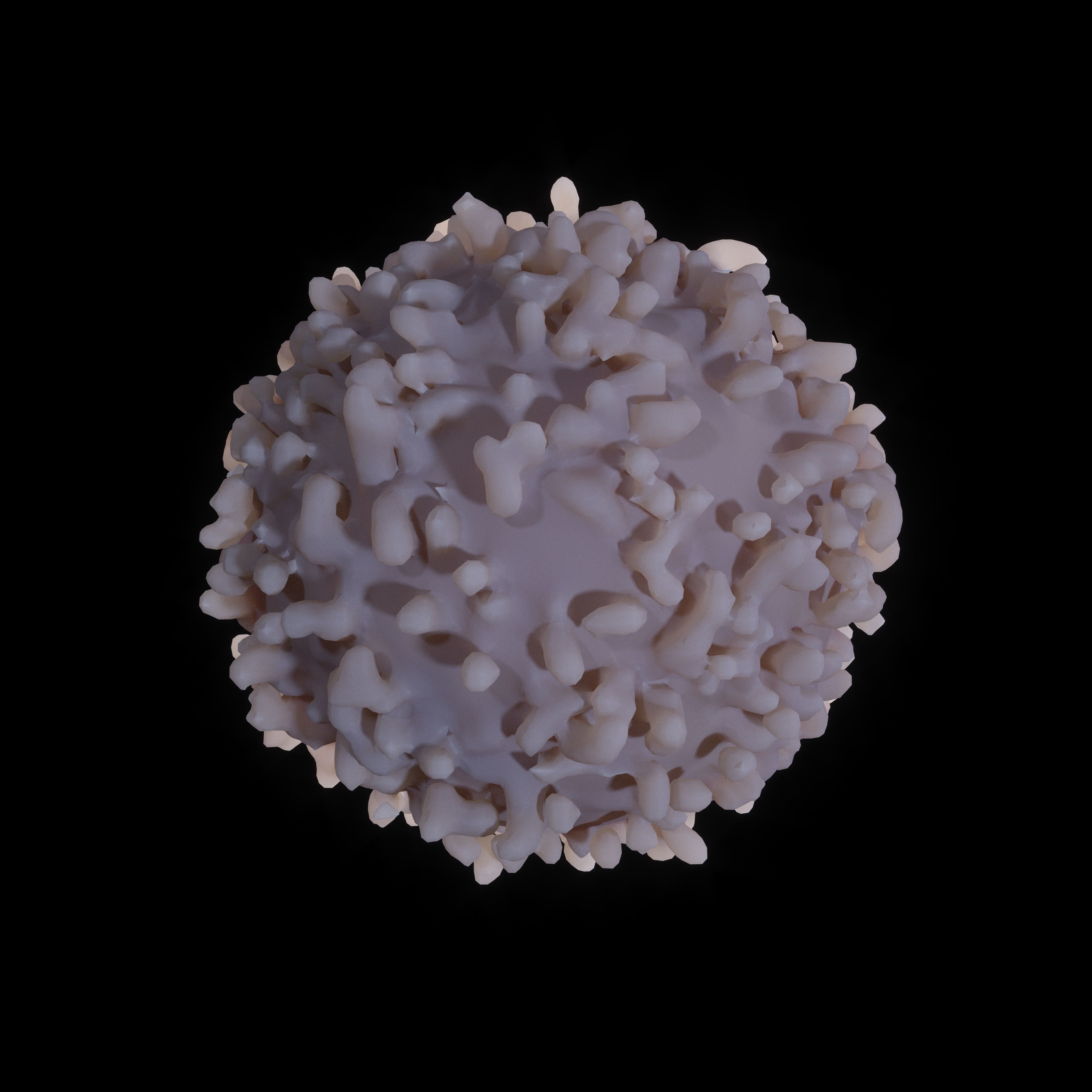 White blood cell 3D model_4
