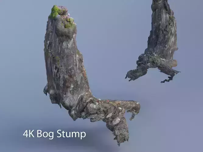 Old Bog Stump