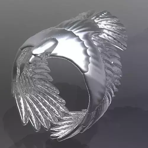 Eagle Ring2019