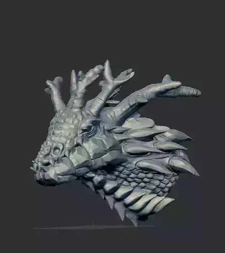 Dragonbust 6 3D print model dragon head