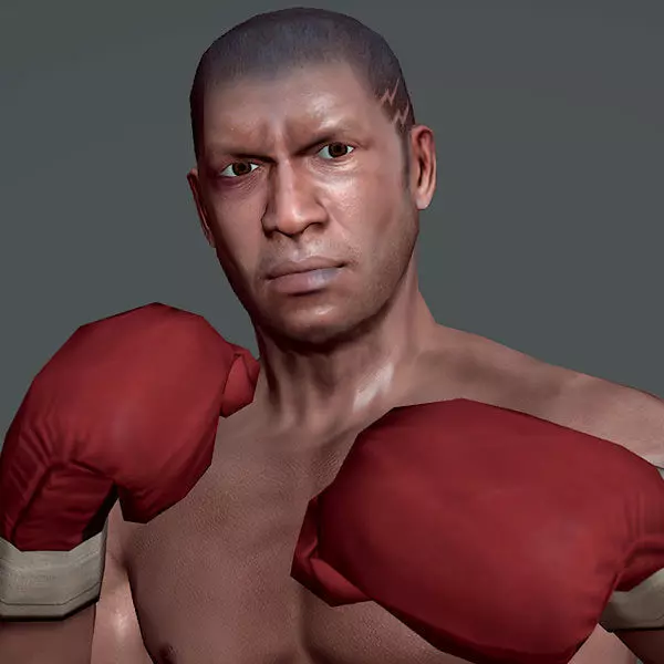 Boxer v1 Low-poly 3D model_0